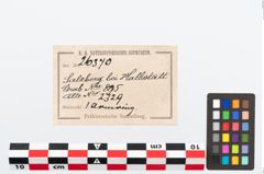 Etikett zu Bronzemelonenarmreif (NHMW-PRAE-026370)